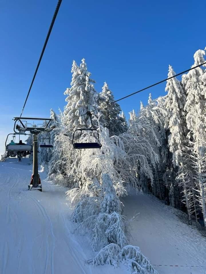 Apartmán Haus Annemiek Winterberg Exteriér fotografie